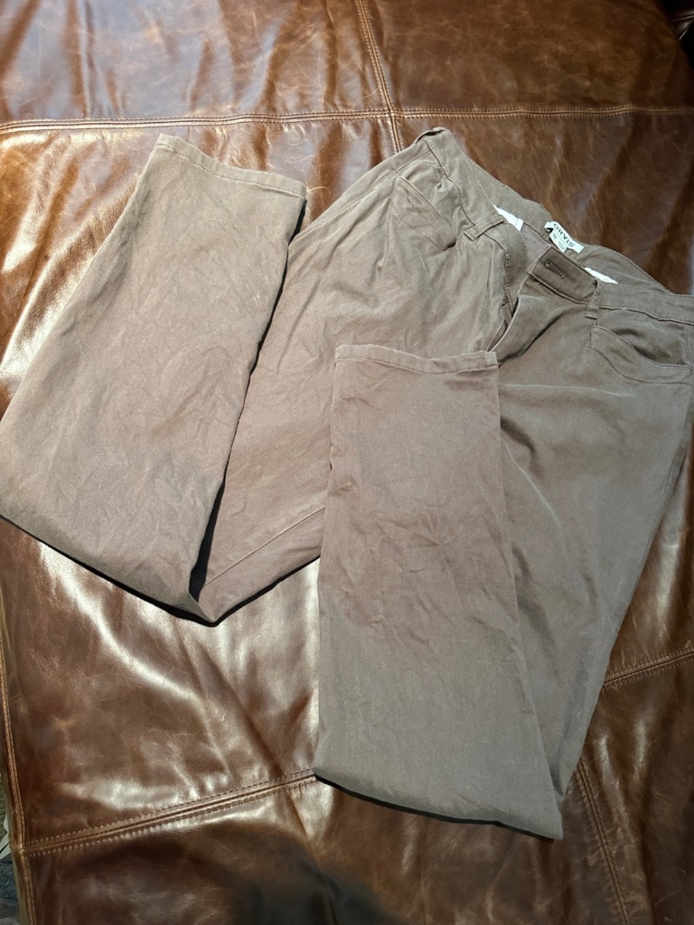 Orvis Women's Straight-Leg Pants in Brown